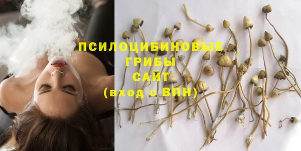 мяу мяу мука Белокуриха