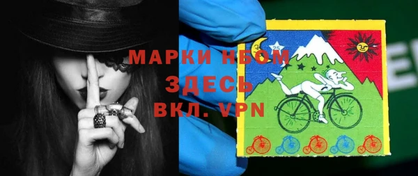 прущие грибы Богданович