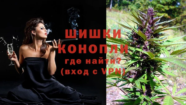 мяу мяу мука Белокуриха