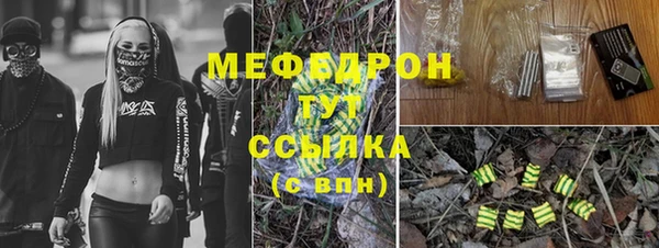мяу мяу мука Белокуриха