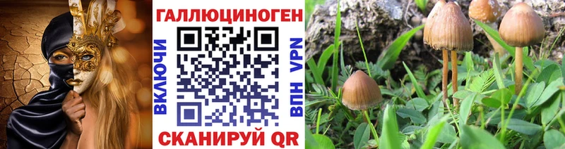 купить закладку  Обь  Псилоцибиновые грибы GOLDEN TEACHER 